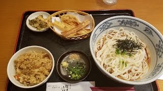 能古うどん かしわごぼうセット 福岡 うどん かしわ飯 ごぼう天 Udon Japanese food