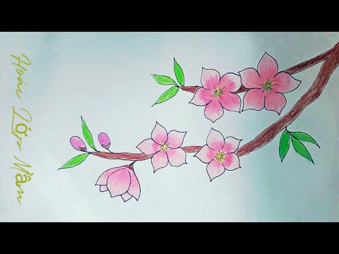 Video Vẽ cành hoa đào đơn giản | Draw peach blossom - youtube