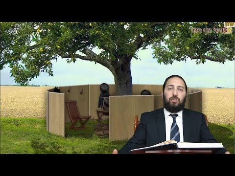 עירובין כו ב - Youtube