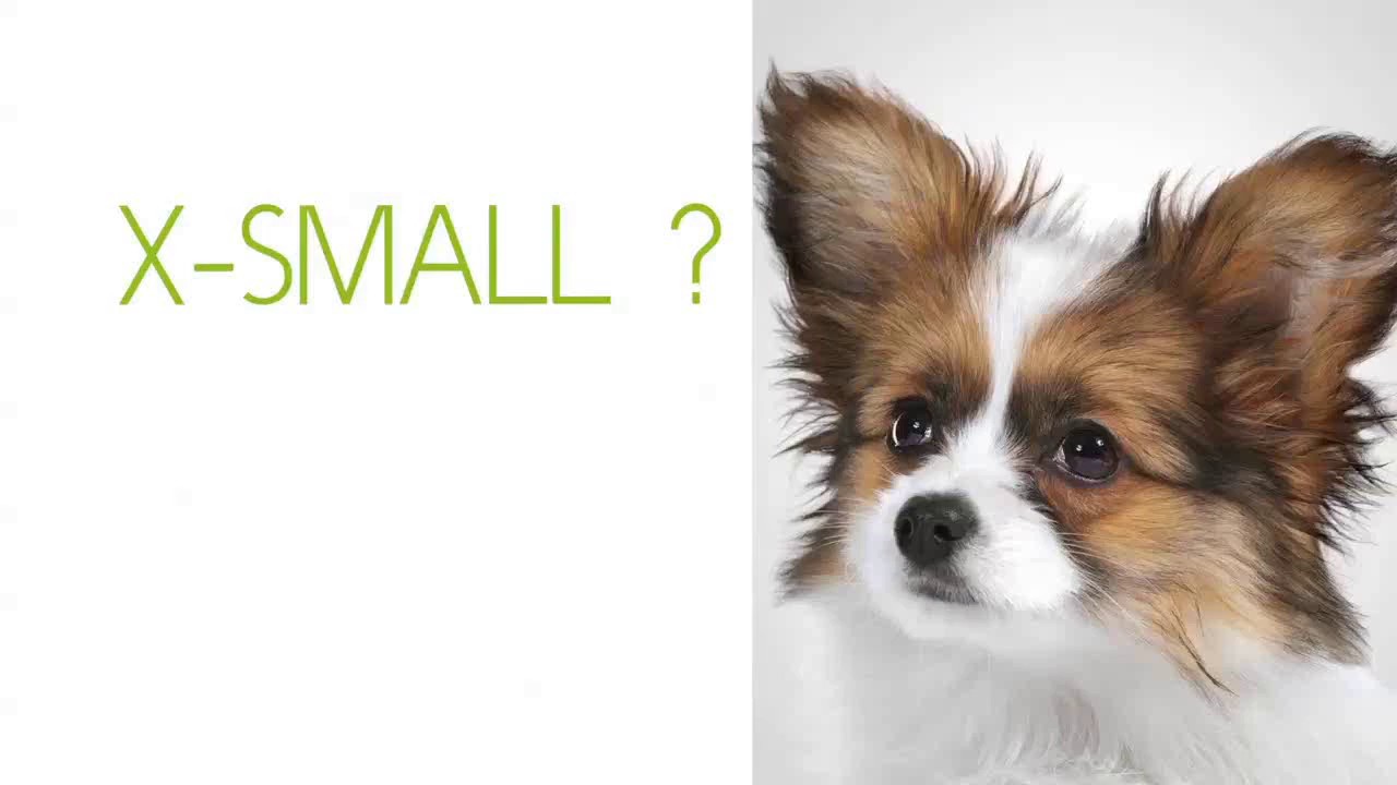Рацион от ROYAL CANIN для собак миниатюрных размеров