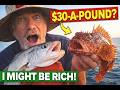 Costco Sells This Fish for $30 a Pound… I Caught One Myself