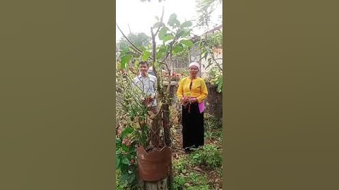 hai nghệ nhân hát tiếng mường ở nhà bá liên xóm bùi xã yên vũ rất tuyệt vời