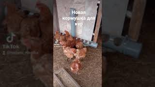 кормушка для кур из канализационной трубы