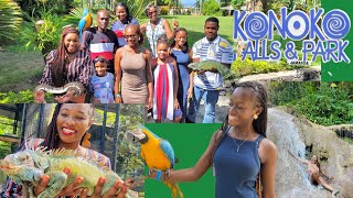 Jamaica Vlog | KONOKO FALLS & PARK | Vacation in Jamaica, Ocho Rios