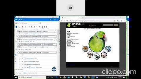 Cls 27 24 01 2021 Truclient, Paramterization,page validation
