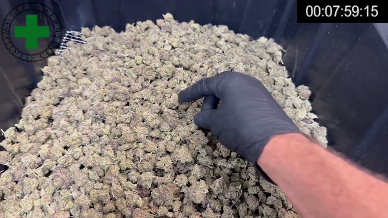 Trimming Over 5 lbs of Cannabis in Just Over 5 Minutes