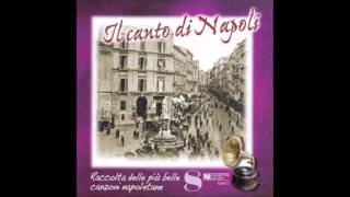 Video thumbnail of "egisto sarnelli i due gemelli"