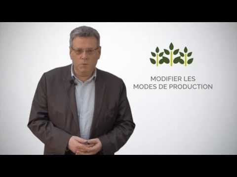 Vidéo: Agrotechnologie Des Courgettes Dans Les Zones Agricoles à Risque
