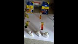 Aquarium weekly water test (api test kit)
