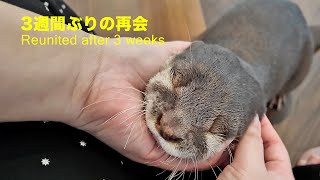 Mama Comes Home Reunited After 3 Weeks