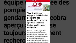 #info #news #actu #animaux #serpent #toulouse tjr activement recherché le 17 mai