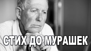 "Я плачу по другому поводу" СТИХ ДО МУРАШЕК! Очень трогательный стих до слез!