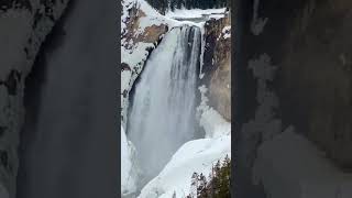 Grand Canyon of the Yellowstone 🐻 #nationalparks #frozenwaterfall