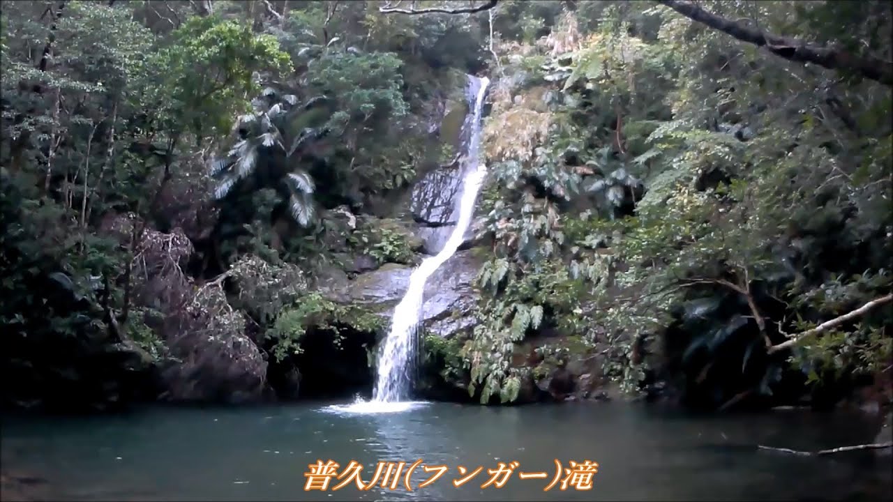 やんばる散策ドライブ 真喜屋ダム湖 フンガー滝 Youtube