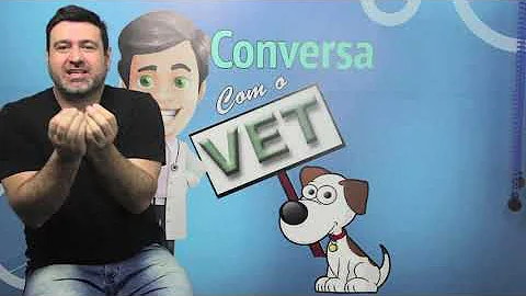 O que é o anestro?