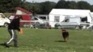 Discdog Tristan Ufo Local - Peer Belgium - 14092008