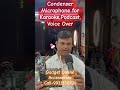 Condenser microphone for Karaoke| Podcast microphone | Voice Over etc All smartphones supported mic