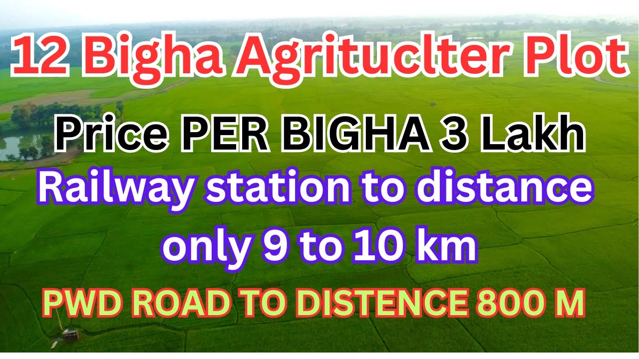 Sold Out Pwd Road To 800 Metre Distance Forest Side Agriculture Plot sold-out-pwd-road-to-800-metre-distance-forest-side-agriculture-plot