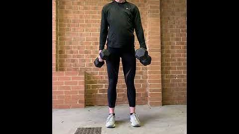 DB Bent Over Row with ISO Hold