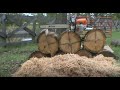 Stihl MS 462 Noodling Big Oak Firewood Rounds