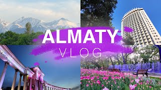 видео: ВЛОГ ИЗ АЛМАТЫ 🇰🇿 КАЗАХСТАН ЧАСТЬ 2 картинка: ВЛОГ ИЗ АЛМАТЫ 🇰🇿 КАЗАХСТАН ЧАСТЬ 2