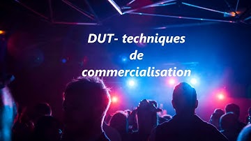 Vidéo introductive questionnaire Sphinx