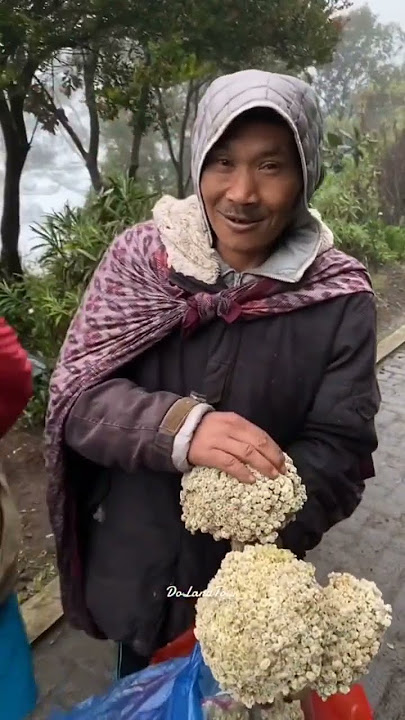 Disini Bunga Edelweiss dijual Bebas | #gunung #pendaki #story