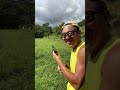 30m先の紙コップをハイキャパで当てる サブチャンネルの動画