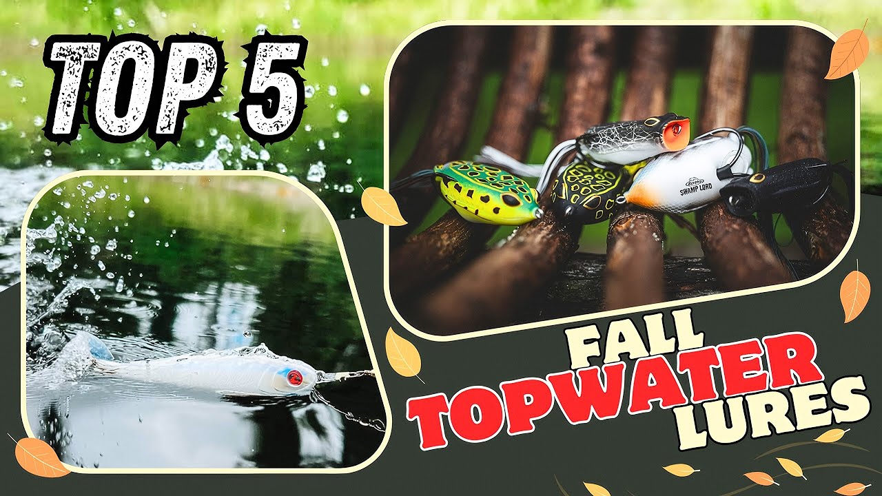 Best Topwater Lures for Fall Bass Fishing! Catch More Bass this Fall!