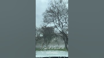 سوره القدر - هزاع البلوشي