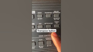 Transpose button on the keyboard. #piano #music #keyboard #transpose