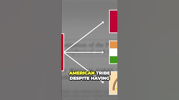 The Universal Language of Music How It Evokes Emotion Across Cultures