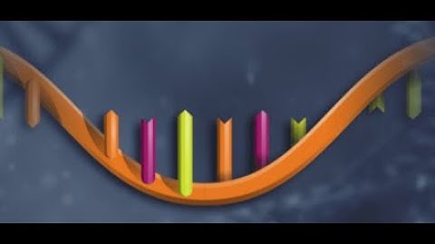 Antisense Oligonucleotides- Mechanisms of Action and Rational Design