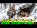 【奇跡の実話】吹雪の夜、老人は岩穴の中で瀕死状態の秋田犬の母犬と生まれたばかりの10匹の子犬を発見した…家に連れ帰った直後、信じられない出来事が起きた！
