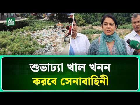 Shimlar, taytlar, dumbalar