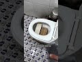 Pov the ejector toilet