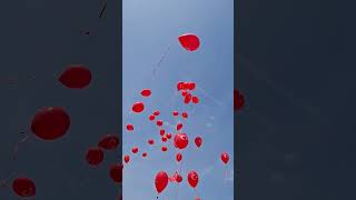 #herkes #23nisankutluolsun #23nisanulusalegemenlikveçocukbayramı #bayram #coşku