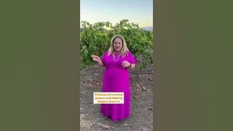 WSET Level 3 Bootcamp Experience - Napa Valley Wine Academy