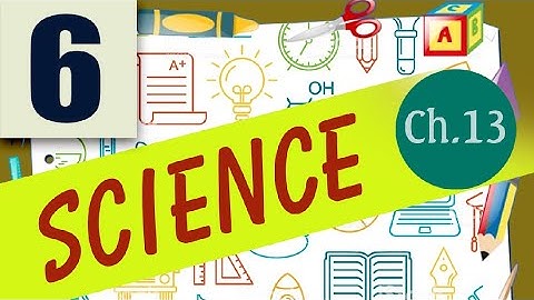 Class 6 Science Chapter 13 Fun with Magnets revision 25 02 2021