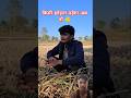 किसनी छोड़ना पड़ेगा अब तो 😱🥹। Harshit Bhau new comedy video।#shorts #kisan #gaon #farming #harshh