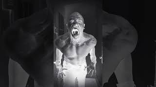 Knocked Loose  A Serpents Touch