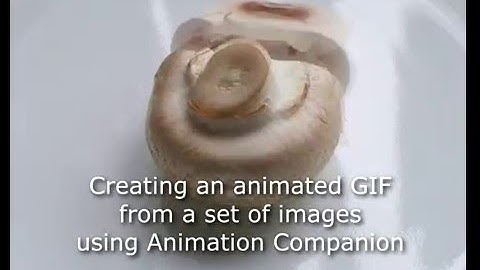 Using Animation Companion to create an animated GIF from a sequence of images