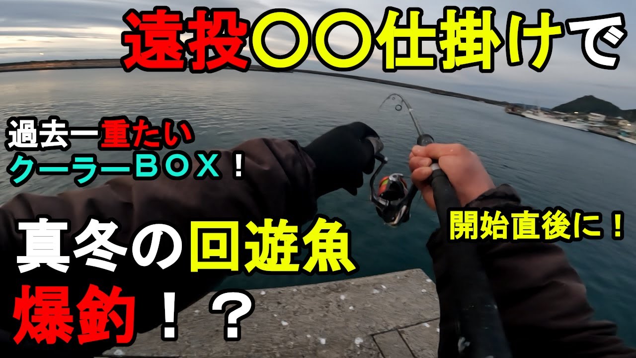 【千葉県某所】遠投〇〇仕掛けで真冬の回遊魚が爆釣！？厳寒期に関東地方の房総半島の太平洋側に面している外房の釣り場で、ルアー釣り仕掛けに〇〇を追加して一晩中釣りしてみたら…！【2024年2月上旬】