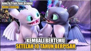 PETUALANGAN ANAK-ANAK NAGA KE DUNIA MANUSIA || Alur Cerita Film How To Train Your Dragon Homecoming