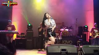 Los Dol - desy thata