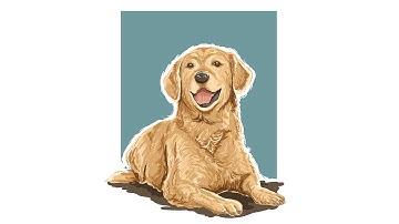 Time lapse Adobe Illustrator : Dog Vector Painting Illustration