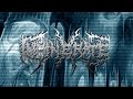 Incinerate - Unable to Ascend