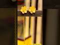 Latest Gold Earrings Designs for Daily Use 2026 | Light Weight Gold Earrings with Price