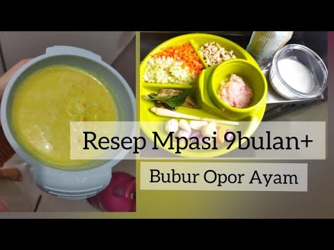 Resep Opor Ayam Mpasi 10 Bulan
