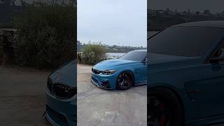 Dream car + Best reaction 🚗😻#BMWM3 #CarLovers #FunnyCats #CarGuy #M3Gang  #Trending #Automotive